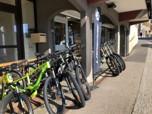 Mountain bike rental and sporting goods.