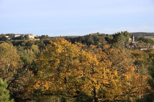 Paysage verdoyant en Ile de France
