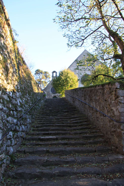 Escalier en pierres anciennes