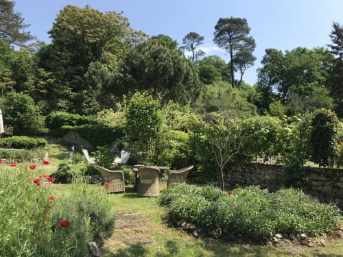 Green garden 