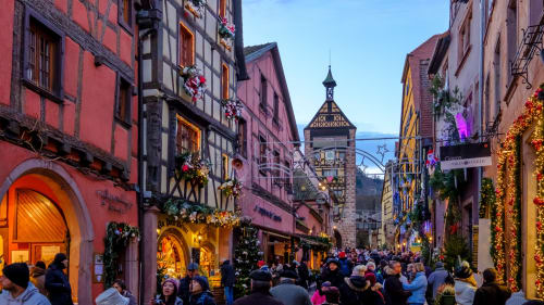 Les mésanges de l'Ill - Alsace