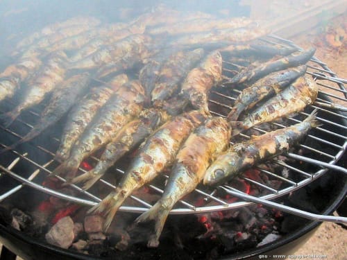 Sardinade-Gite-Provence-Avignon-le mas des aromes