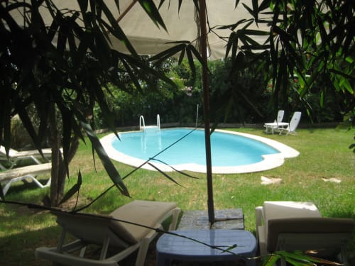 The swimming-pool through the bamboo