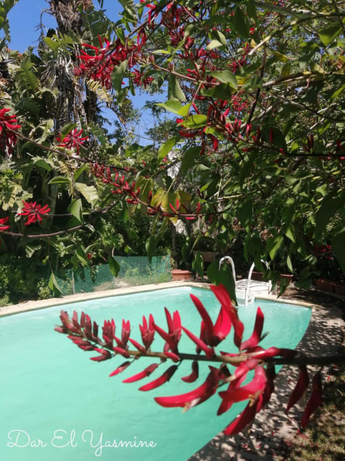 The pool