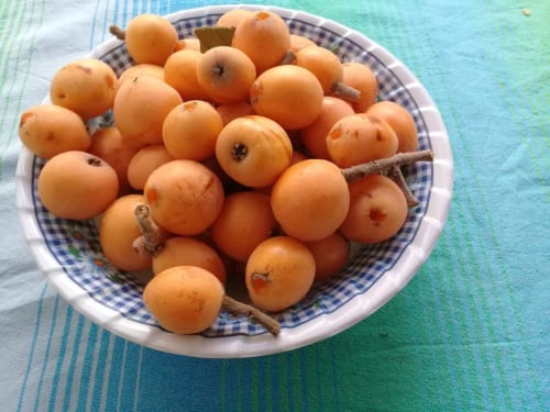 Our "nefles" harvest