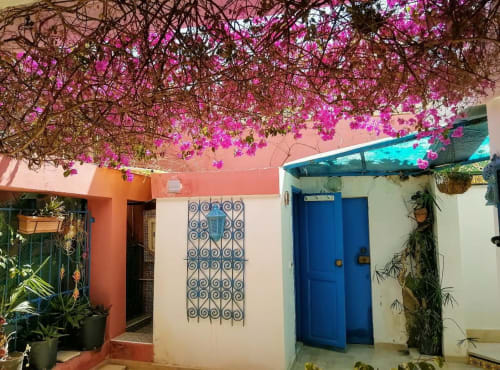 Yasmine 1 patio under the bougainvillea fire !