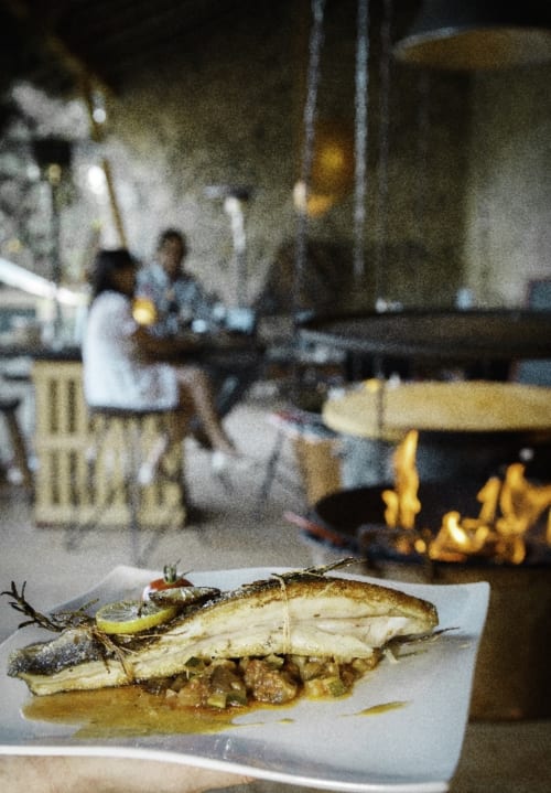 poisson grillé - barbecue - Les Robinsonades - Saint Christaud | Hébergement écologique - tente suspendue et cabanes perchées