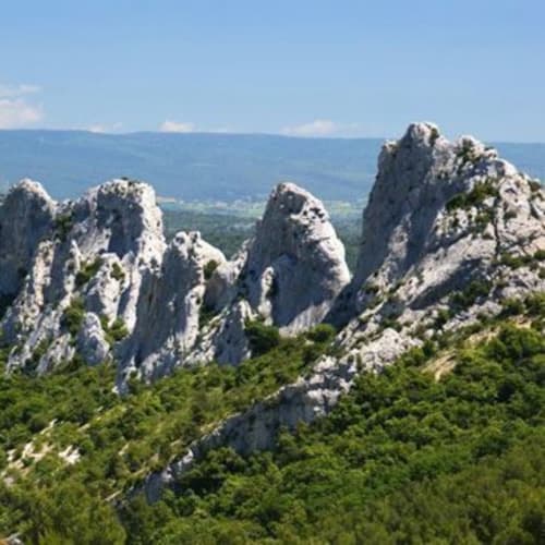 Les Dentelles-de-Montmirail-Gigondas-Gite-Le Mas des Aromes