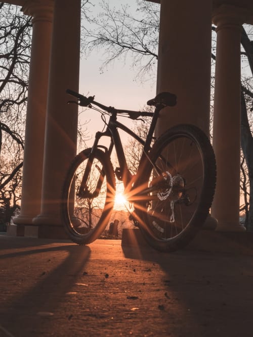 Vélo en Camargue-Le Mas des Arômes-Gite