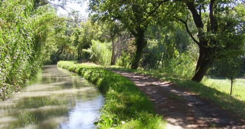 Canal de Carpentras-Gite-Chambre d'hôtes-Le Mas des Arômes