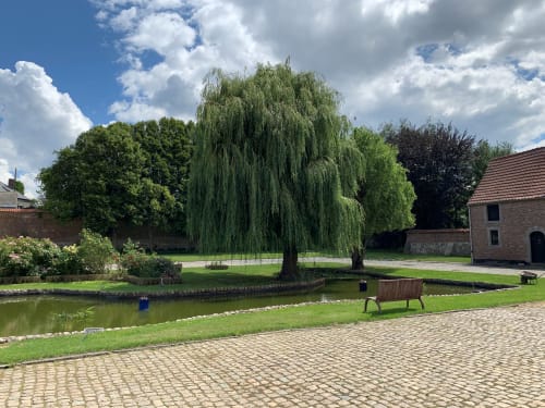 Grand parc avec étang