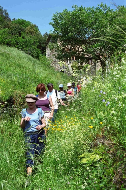 randonnées dans les cévennes