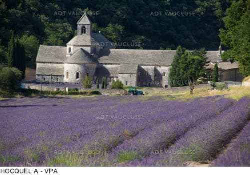 L'Abbaye de Sénanque, Le Mas des Arômes chambre d'hôtes en Provence ®
