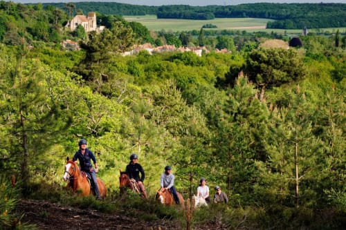 Horse riding in nature (78)