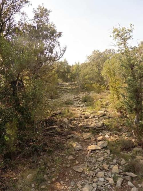 séjour dans les cévennesLe Portel des Arnaud chambres d hotes Cévennes
