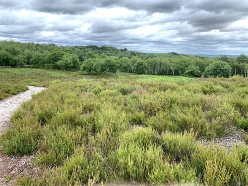 Nature in the Yvelines, France
