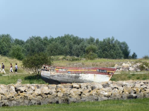 Bateau - Le crotoy Baie de Somme gîtes les granges de la baie