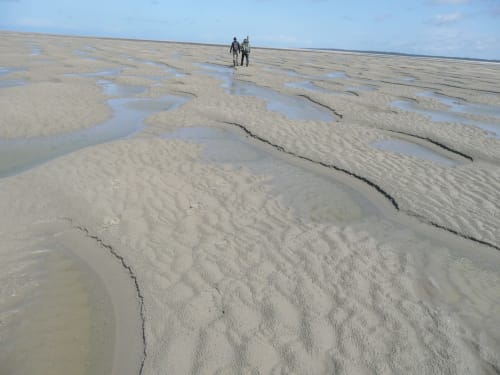 Promenade sur la plage Baie de Somme Saint-Valéry Le Crotoy gîtes les granges de la baie