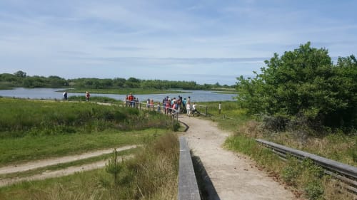 Groupe de visiteur parc Marquenterre Baie de Somme Saint-Valéry Le Crotoy gîtes les granges de la baie