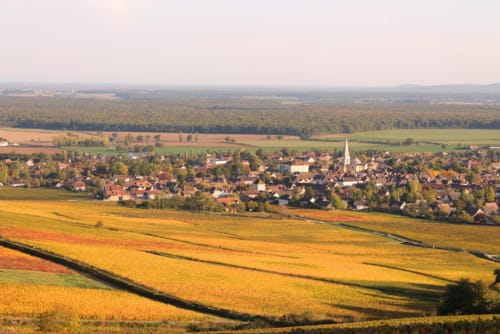 Vignes en Cote chalonnaise en Bourgogne proche Château de la Villeneuve 71380 SAINT MARCEL