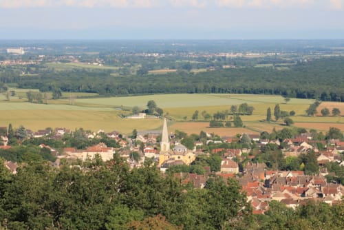 Vignes en Cote chalonnaise en Bourgogne proche Château de la Villeneuve 71380 SAINT MARCEL