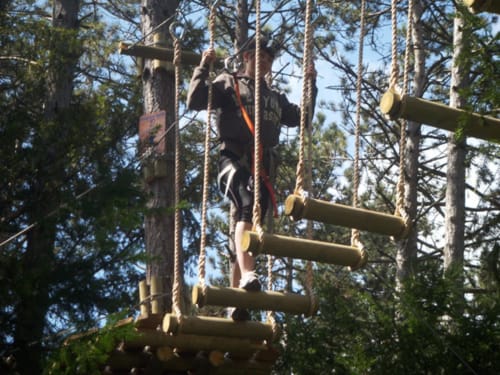 Tree climbing, near La Grange Dîmière, charming BnB in the Loire Valley