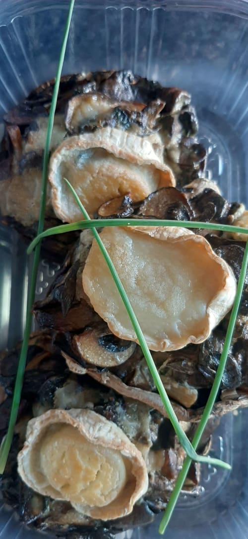 Champignons farcis au fromage de chèvre, Partenaire artisan traiteur chez Casa Claudina casa-claudina.com - Fabrice RAMOS est joignable par téléphone/WhatApps +351 912 980 571 ou par mail : havana.caipirinha@hotmail.fr   Location villa à proximité de vilamoura, Quarteira et Almancil pour vos vacances, vos évènements,  fêtes ou groupes jusqu'à 20 personnes. Location villa avec grande terrasse en bois pour 16 personnes et grande piscine chauffée située en Algarve au Portugal à Loule.
