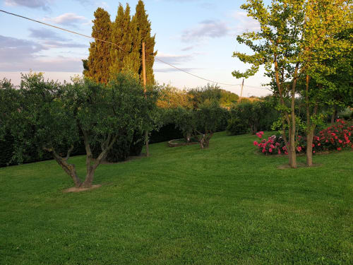 B&B La Torretta - Tavullia (PU), Ranch Valentino Rossi
