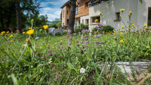le jardin verdoyant du gîte Agathe et Sophie à lans en vercors