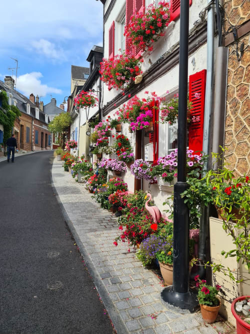ruelle fleurie Saint Valery Sur Somme