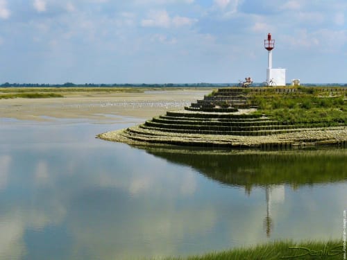 Baies de anges proche du gîte 