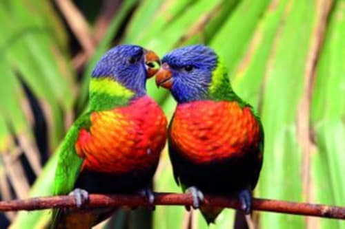 La Villa du Rhône se trouve à 20 minutes du Parc des oiseaux Villars Les Dombes