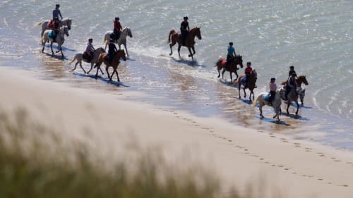 Balade à Cheval 
appartement Royal Navy
location saisonnière
location courte durée
airbnb dunkerque plage
booking dunkerque appartement cuisine moderne dunkerque
appartement moderne dunkerque
logement dunkerque plage
hébergement Dunkerque
location meublés
appartement standing plage
séjour dunkerque plage
location vacances
appartement lumineux
immeuble royal navy
location groupe dunkerque
appartement haut de gamme
appartement haut de france
location tourisme plage
appartement design
logement confortable et lumineux
location week end plage
hébergement Royal Navy
appartement entier

