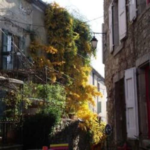 Un village des Cévennes. Le Portel des Arnaud chambres d hotes Cévennes
