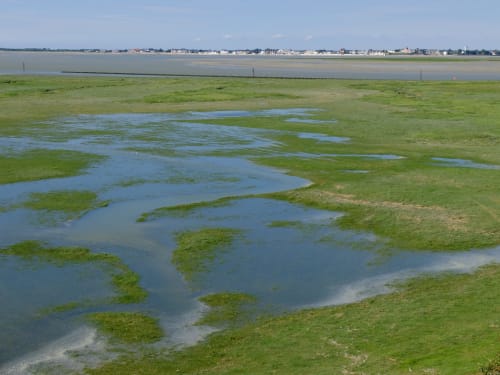 Paysage Baie de Somme Tourisme Nature Saint-Valéry Le Crotoy gîtes les granges de la baie