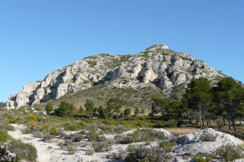 Les Alpilles - Le Mas des Vergers