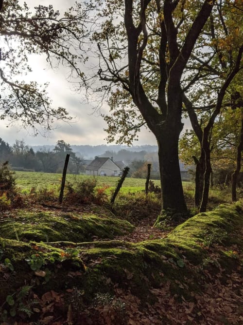 Chemin à Bain de Bretagne