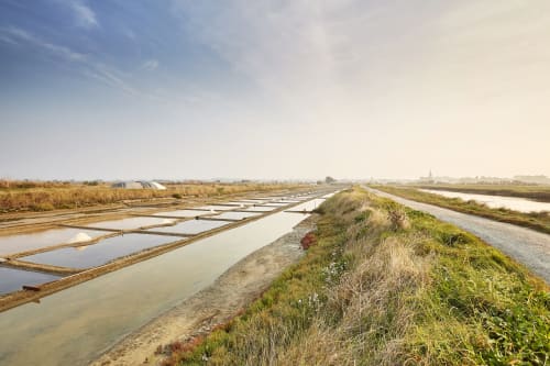 Marais Salants L'Île d'Olonne