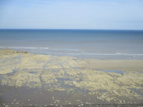 Le crotoy - La plage à marée basse Baie de Somme gîtes Saint-Valéry