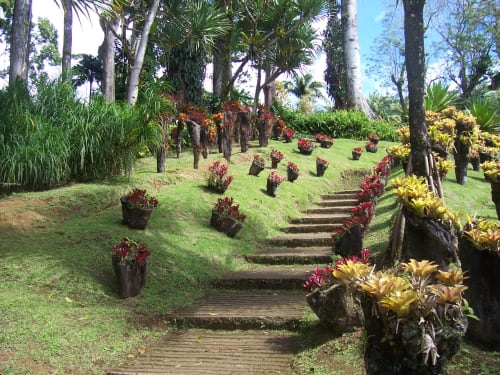 Jardin Balata Martinique Villa luxe La Belle Négresse