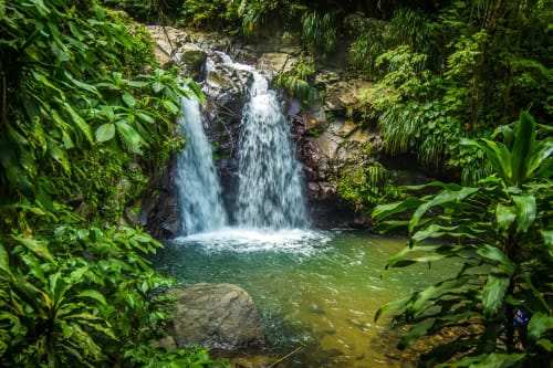 Cascade Rivière Martinique - Villa luxe La Belle Négresse