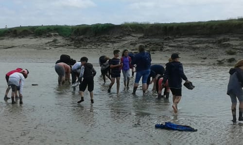 Sortie à la mer -st valery Gite la baie des anges