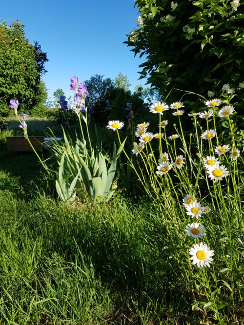 Jardin fleuri la pause ô logis 