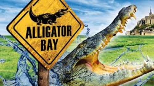 Alligator Bay