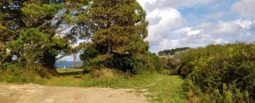 accès à pied de la location à la plage par les petits chemins et le vallon - séjour aux maisons de Kerdavid'île