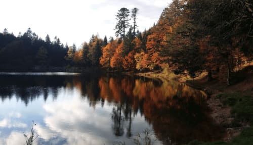 se promener lac des vosges