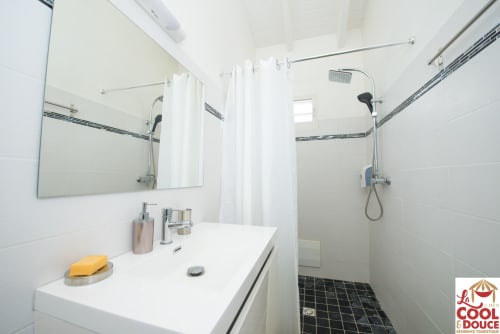Salle de bain avec douche 