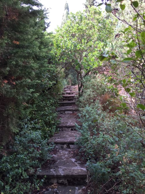 chemin dans le jardin buen oustaou