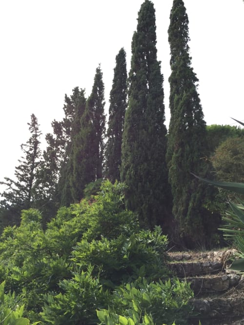villa avec jardin buen oustaou