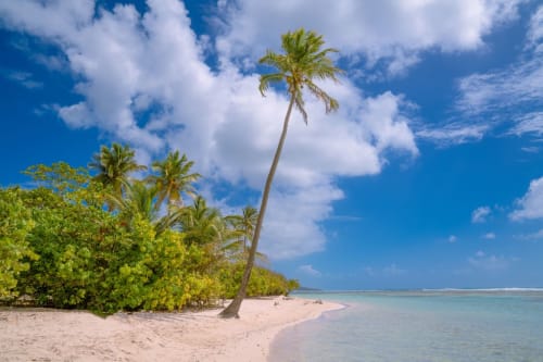 plage de sable blanc - Guadeloupe